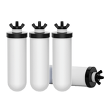 Joypur Replacement Filter PF-4